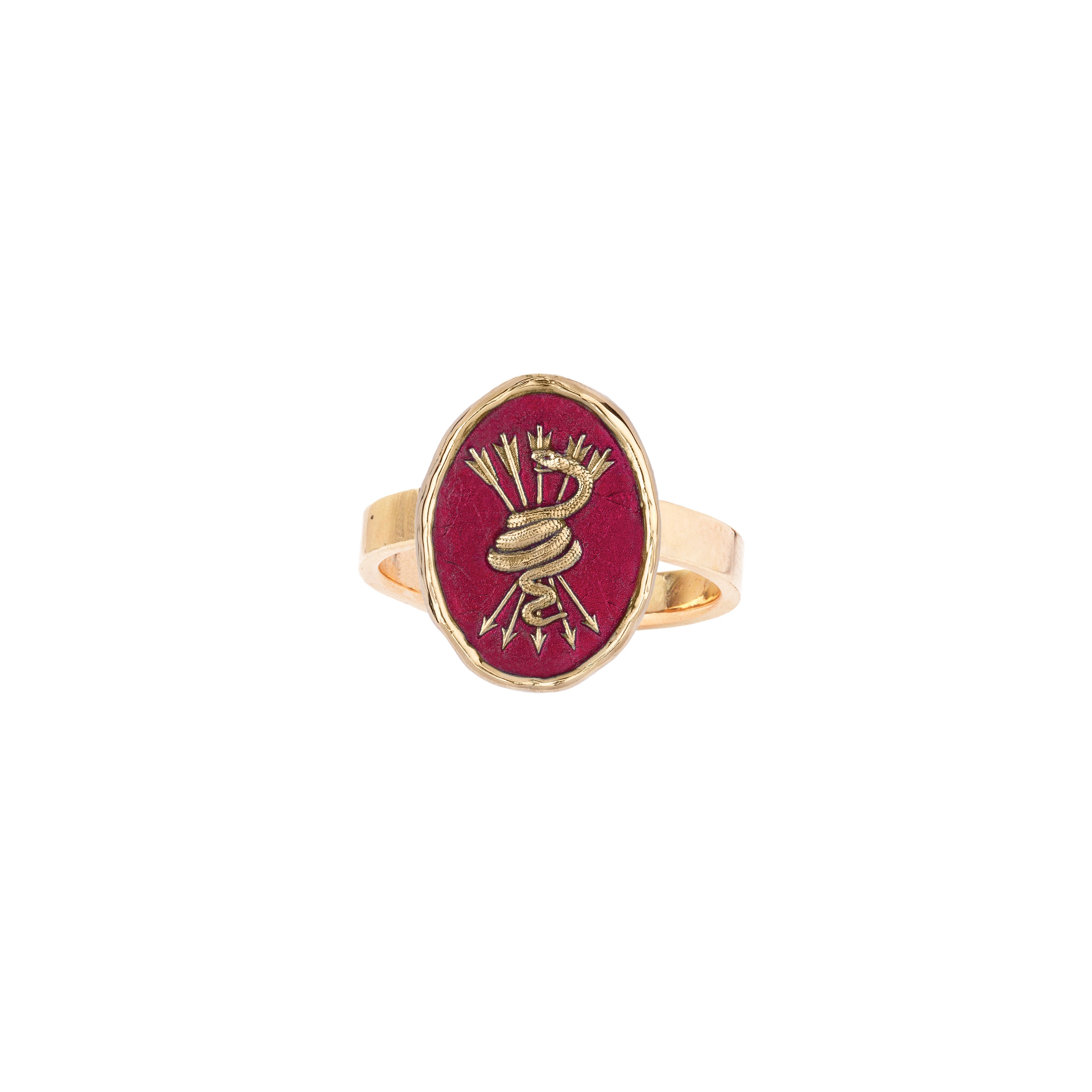 Pyrrha Snake & Arrows 14K Gold Talisman Ring - True Colors