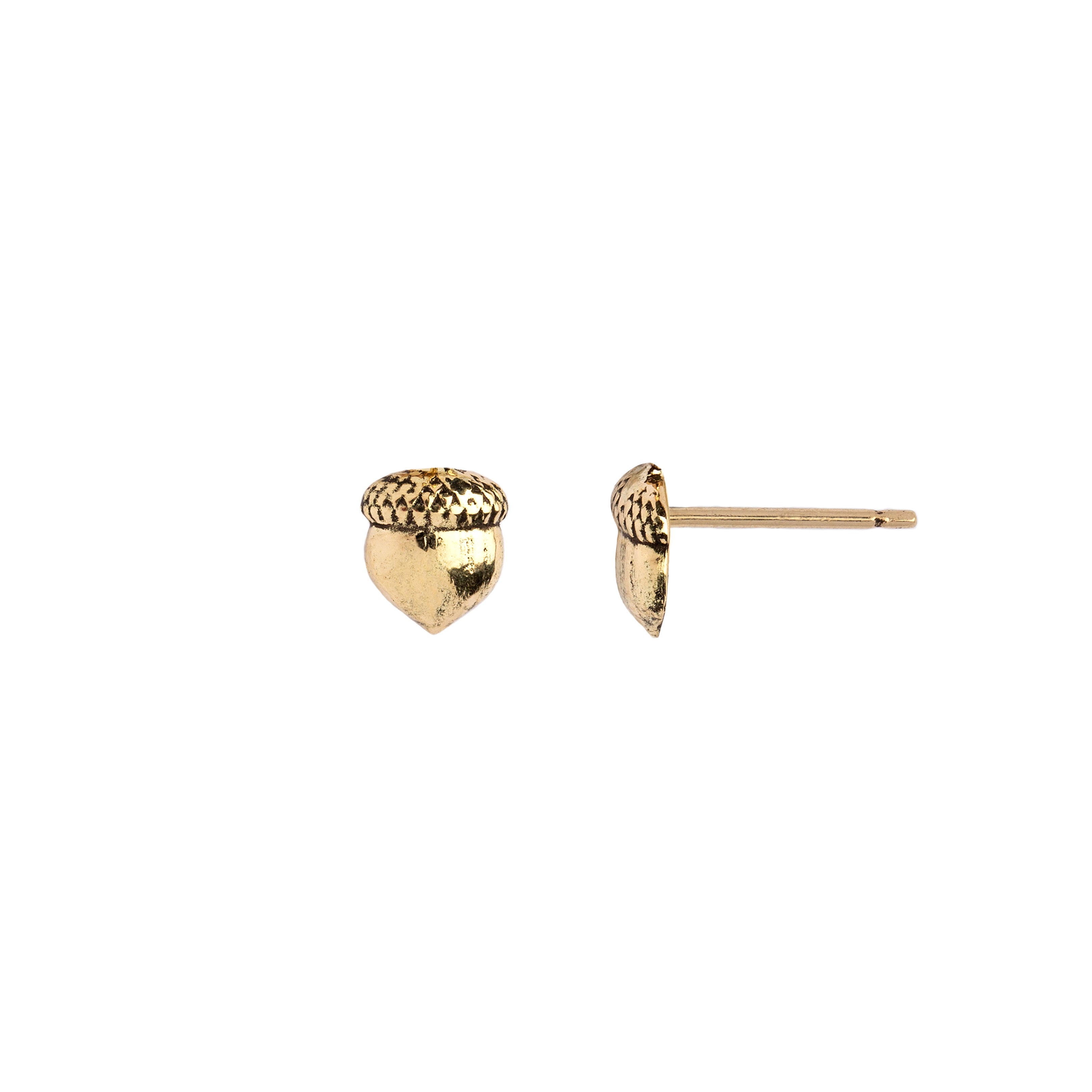 Acorn 14K Gold Symbol Stud