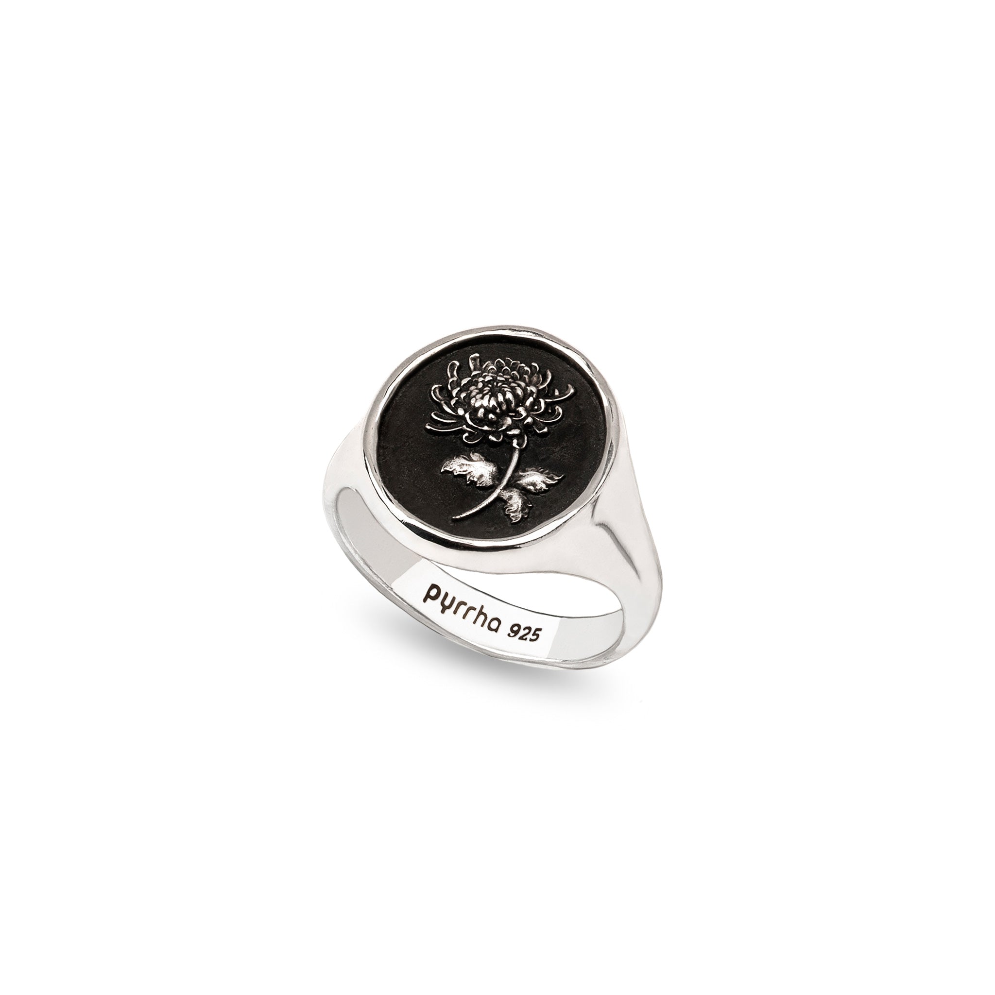 Healing Journey Signet Ring